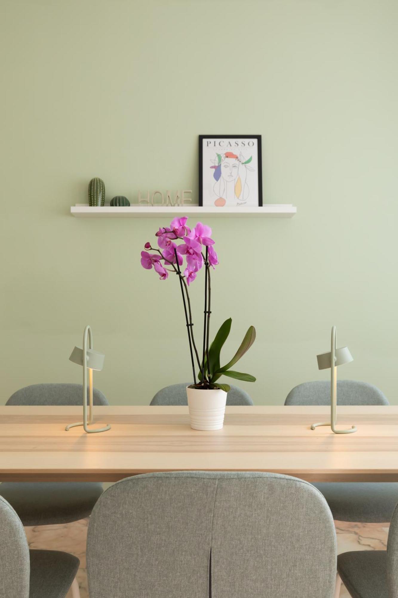 Domiziano Boutique Apartment Rome Luaran gambar